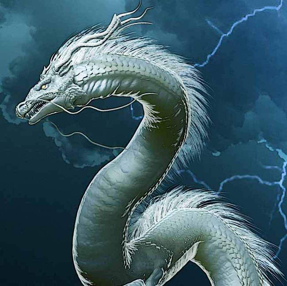 Amazon.co.jp: 龍の絵 「稲妻と白龍2」 A4 竜の絵 : ホーム＆キッチン